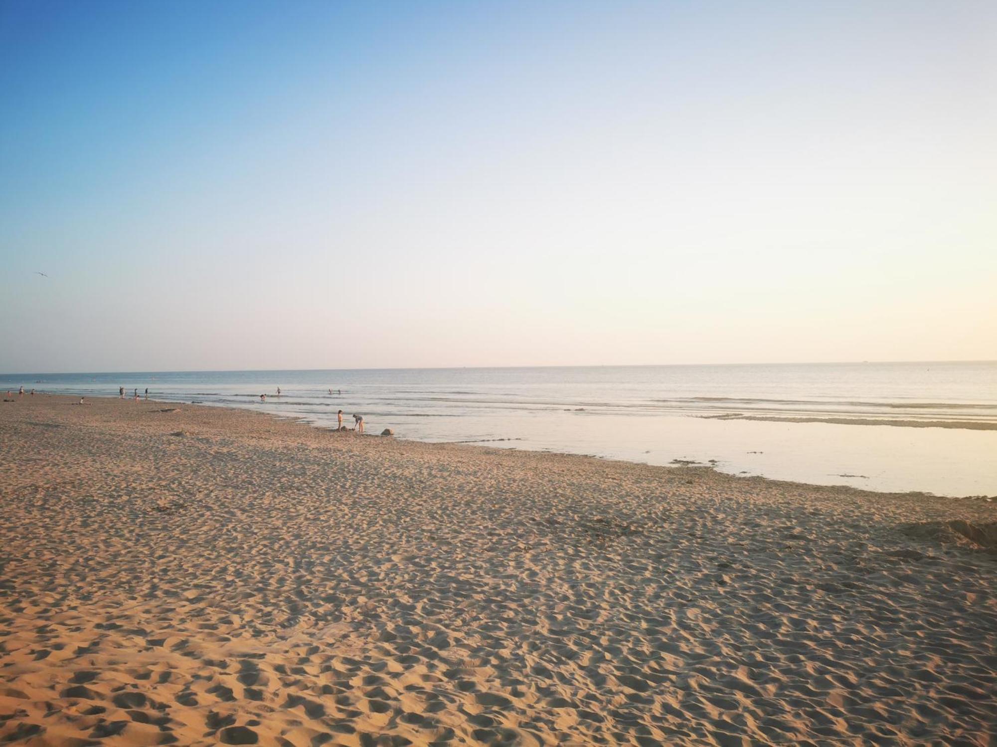 Appartement Sunrise Au Pied De La Plage Merlimont Plage Dış mekan fotoğraf